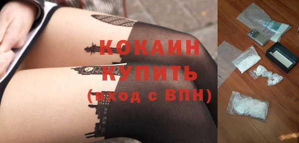 мет Каменка