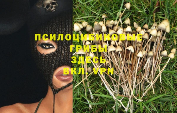 метамфетамин Инсар