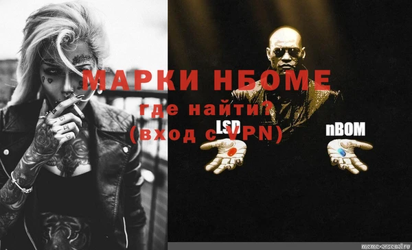 тгк Инта