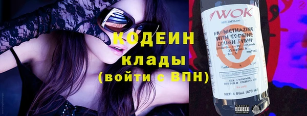 тгк Инта