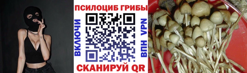 Псилоцибиновые грибы Cubensis  Купить закладки  Ликино-Дулёво 